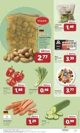 Paprika im combi Prospekt in Cuxhaven Aktueller combi Prospekt mit Paprika, "Markt - Angebote", Seite 3