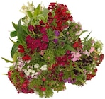 Aktuelle Blumen Angebote bei Penny in Hagen (Stadt der FernUniversität) Aktuelles Bartnelke Angebot bei Penny in Hagen (Stadt der FernUniversität) ab 1,99 €