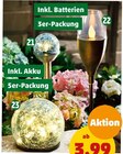 Aktuelles Gartendeko Angebot bei Penny-Markt in Regensburg ab 7,99 €