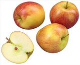 Aktuelle Äpfel Angebote bei Kaufland in Hagen (Stadt der FernUniversität) Aktuelles Dtsch. Tafeläpfel »Elstar« Angebot bei Kaufland in Hagen (Stadt der FernUniversität) ab 2,49 €