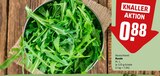 Rucola bei REWE im Prospekt "" für 0,88 €