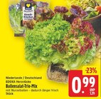 Ballensalat-Trio-Mix von EDEKA Herzstücke für 0,99 € bei E center im Angebot Ballensalat-Trio-Mix von EDEKA Herzstücke im aktuellen E center Prospekt