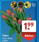 ALDI SÜD Germersheim Prospekt mit  im Angebot für 1,99 €