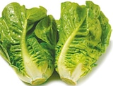 Netto mit dem Scottie - Deutscher Mini Romana Angebot im Prospekt Deutscher Mini Romana bei Netto mit dem Scottie im Prospekt "" für 0,89 €