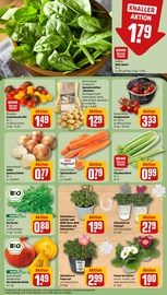 Aktueller REWE Prospekt mit Garten, "Dein Markt", Seite 7