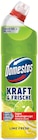WC-Gel Kraft & Frische im Angebot bei Netto mit dem Scottie in Falkensee WC-Gel Kraft & Frische Angebote von Domestos bei Netto mit dem Scottie Falkensee für 1,49 €