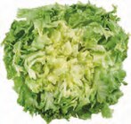 Frisee im Angebot bei EDEKA in Stade Frisee Angebote bei EDEKA Stade für 2,49 €