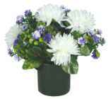 Pot de chrysanthèmes et fleurettes en promo chez Bazarland Nancy à 7,99 €
