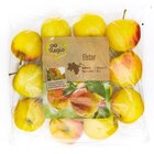 Elstar im Netto mit dem Scottie Prospekt Elstar von GO Regio im aktuellen Netto mit dem Scottie Prospekt für 1,49 €