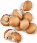 nah&frisch Münster - Creme Champignons Angebot im Prospekt Creme Champignons bei nah&frisch im Münster Prospekt für 1,79 €