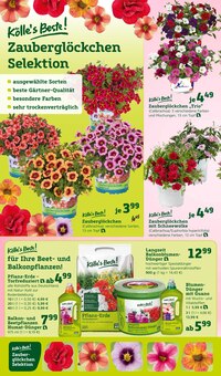 Aktueller Pflanzen Kölle Werder Prospekt "Gratis Pflanzaktion!" mit 18 Seiten
