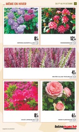 Hortensia Angebote im Prospekt "JARDIN D'AUTOMNE" von Intermarché Hortensia Angebote im Prospekt "JARDIN D'AUTOMNE" von Intermarché auf Seite 3