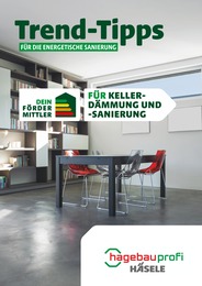Häsele Baustoffhandel Prospekt für Großerlach: "Trend-Tipps FÜR DIE ENERGETISCHE SANIERUNG", 11 Seiten, 13.05.2024 - 23.05.2024