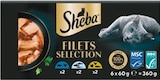 Aktuelles Filets Multipack Angebot bei Netto mit dem Scottie in Dresden ab 5,49 €