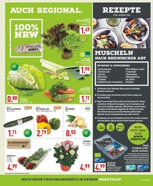 Paprika im aktuellen Marktkauf Prospekt (Recklinghausen) Paprika im Marktkauf Prospekt "Aktuelle Angebote" mit 20 Seiten (Recklinghausen)