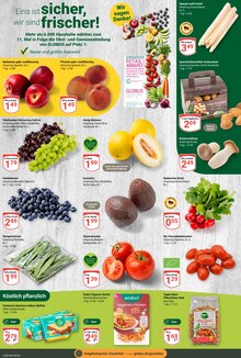 Gemüse im GLOBUS Prospekt "Aktuelle Angebote" mit 28 Seiten (Trier)