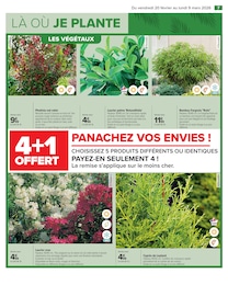 Prix et réduction Cyprès dans le prospectus Carrefour en cours Offre Cyprès dans le catalogue Carrefour du moment à la page 9