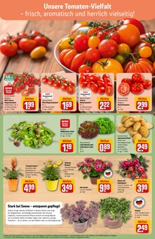 Kartoffeln im aktuellen REWE Prospekt (Chemnitz) Kartoffeln im REWE Prospekt "Dein Markt" mit 30 Seiten (Chemnitz)