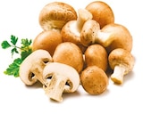 Kulturchampignons braun  im aktuellen Netto mit dem Scottie Prospekt für 1,11 €