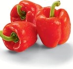 Aktuelle Paprika Angebote bei Netto Marken-Discount in Bochum Aktuelles Paprika rot Angebot bei Netto Marken-Discount in Bochum ab 2,99 €
