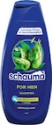 Shampoo im Angebot bei Netto Marken-Discount in Worms Shampoo Angebote von Schauma bei Netto Marken-Discount Worms für 1,69 €