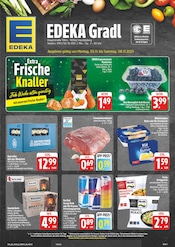 EDEKA Supermarkt Prospekt der aktuellen Woche mit 29 Seiten, gültig von 03.11.2025 bis 08.11.2025, in Heroldsberg und Umgebung Aktueller EDEKA Supermarkt Prospekt in Heroldsberg und Umgebung, "Wir lieben Lebensmittel!" mit 29 Seiten, 03.11.2025 - 08.11.2025