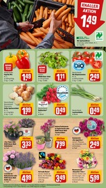 Paprika im REWE Prospekt in Hof Aktueller REWE Prospekt mit Paprika, "Dein Markt", Seite 9