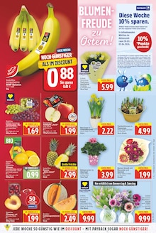 Obst im E center Prospekt "Aktuelle Angebote" mit 27 Seiten (Berlin)