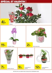 Plantes Angebote im Prospekt "NOUVEL AN LUNAIRE" von Carrefour auf Seite 43