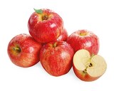 Aktuelle Äpfel Angebote bei REWE in Fürth Aktuelles Snack Äpfel Gala Angebot bei REWE in Fürth ab 3,33 €