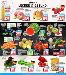 HIT Gondenbrett Prospekt der aktuellen Woche, gültig von 14.07.2025 bis 19.07.2025 Aktueller HIT Gondenbrett Prospekt "ECHTE VIELFALT" mit 19 Seiten