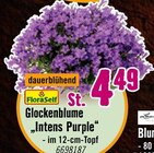 Hornbach Fürth Prospekt mit  im Angebot für 4,49 €