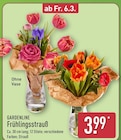 Frühlingsstrauß von Gardenline im aktuellen ALDI Nord Prospekt für 3,99 €