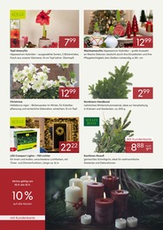 Pflanzen Kölle Lichternetz im Prospekt Pflanzen Kölle Lichternetz im Prospekt