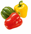 Paprika-Mix im Angebot bei Netto Marken-Discount in Pforzheim Paprika-Mix Angebote bei Netto Marken-Discount Pforzheim für 1,49 €