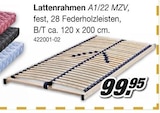 Lattenrahmen A1/22 MZV im Angebot bei Möbel AS in Offenburg Lattenrahmen A1/22 MZV Angebote bei Möbel AS Offenburg für 99,95 €