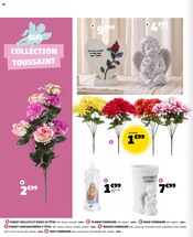 Chrysanthèmes en promo dans le catalogue Gifi à la page 22