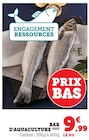 Bar d'Aquaculture dans le catalogue U Express