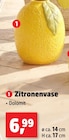 Zitronenvase im aktuellen Thomas Philipps Prospekt