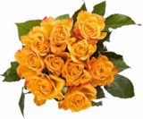 Aktuelles Edelrosen Angebot bei Netto Marken-Discount in Wuppertal ab 2,99 €