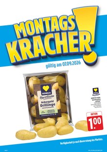 Kartoffeln im E center Prospekt "Wir lieben Lebensmittel!" mit 40 Seiten (Dresden)