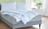 Serie Labrador im Angebot bei Matratzen Concord in Kirchheim Serie Labrador Angebote von Künsemüller bei Matratzen Concord Kirchheim für 79,90 €
