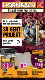 Hornbach Baumarkt Prospekt der aktuellen Woche mit 31 Seiten, gültig von 25.06.2025 bis 23.07.2025, in Niederau und Umgebung Aktueller Hornbach Baumarkt Prospekt in Niederau und Umgebung, "Dir ist vieles Latte. Nur nicht Dein Garten." mit 31 Seiten, 25.06.2025 - 23.07.2025
