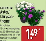 Aster im Angebot bei ALDI Nord in Falkensee Aster Angebote von Gardenline bei ALDI Nord Falkensee für 1,49 €