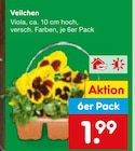 Aktuelles Veilchen Angebot bei Netto Marken-Discount in Nürnberg ab 1,99 €