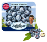 Heidelbeeren Angebote von SanLucar bei REWE Filderstadt für 1,99 €