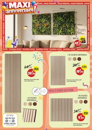 Offre Bricolage et Jardin dans le catalogue Maxi Bazar du moment à la page 10
