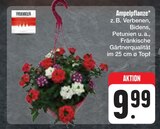 E center Sonneberg Prospekt mit  im Angebot für 9,99 €