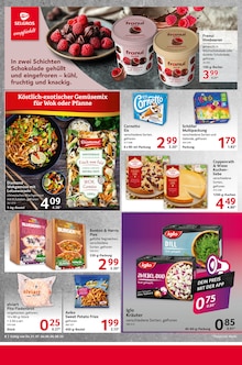 Wok Angebot im aktuellen Selgros Prospekt auf Seite 8