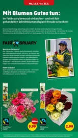 Blumen Angebote im Prospekt "Wer günstig will, muss Penny." von Penny auf Seite 6